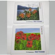 Набор из 2 рисунков на ткани 21*25 см  д/вышивания бисером