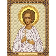 6105 Наборы для вышивания бисером 13*17 (Precioza) С